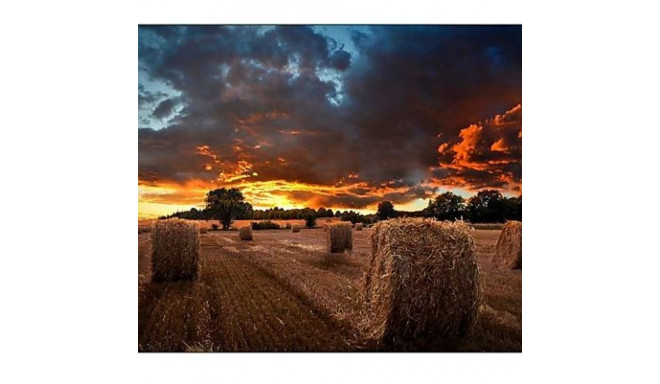 Professional monitor VM55B-U 55 inch Video Wall Mat 24h/7 500(cd/m2) 1920 x 1080(FHD) N/A 3 years On
