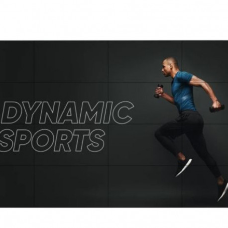 Monitor 55VL5PJ-A 500cd/m2 24/7