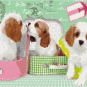 Picture Paint it! Painting by numbers Sweet dogs