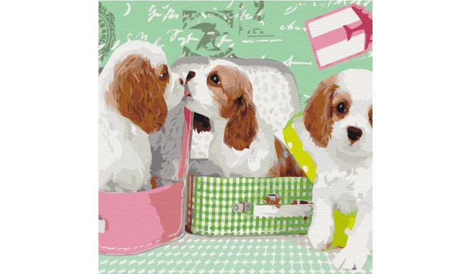 Picture Paint it! Painting by numbers Sweet dogs