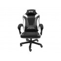 Gaming Chair Fury Avenger M+