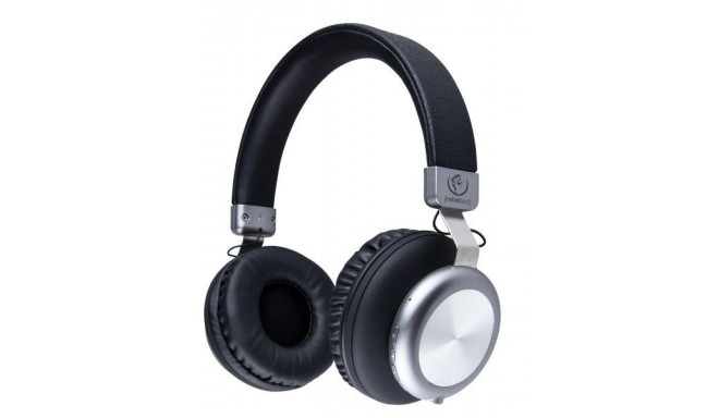 Here is a summary of the features and specifications for the Rebeltec MOZART Blueto