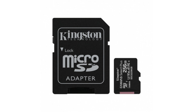 Memory card microSD 256GB Canvas Select Plus 100/85MB/s