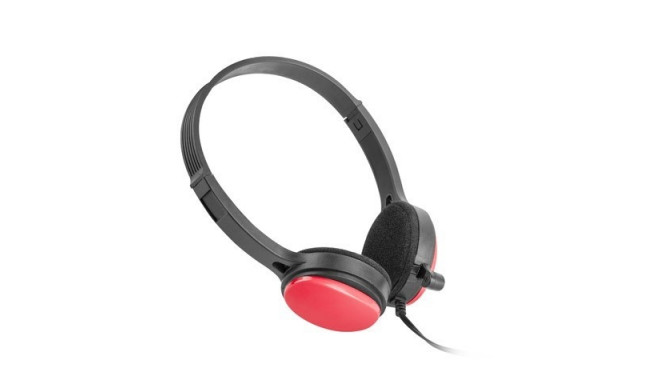 Output: USB Wired Headset with Noise-Canceling Microphone and Inline Controls