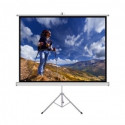 Handheld Screen on Tripod TS-100 4:3 100 inches 203x152cm