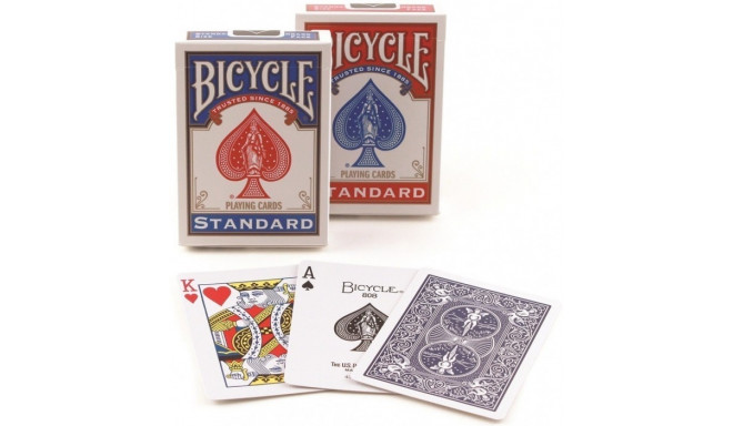 Cards Rider Back International Standard index