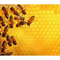 Puzzle Ravensburger Challenge 17362 Beehive 1000 Pieces