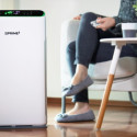 Air purifier SAP81