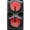 Party speaker APA24 Bluetooth Karaoke