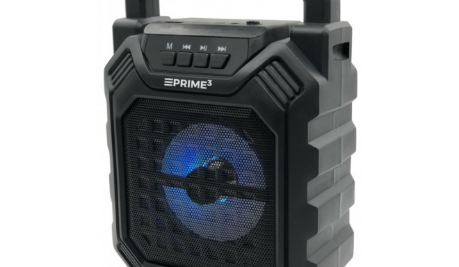 Portable speaker APS09 Bluetooth FM USB