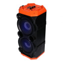 Portable speaker Bluetooth APS31
