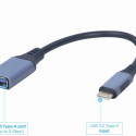 USB-C to USB-AM Adapter OTG