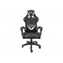 Natec gaming chair Fury Avenger L