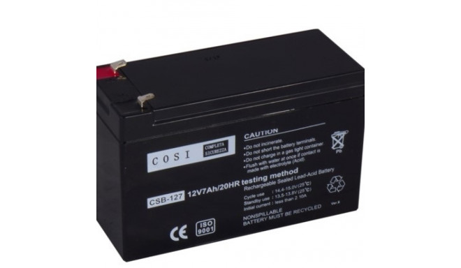 Battery, 12V 7Ah, T1