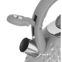 TMC14G PROMIS, Kettle 2.8 l, MARCO, gray gloss