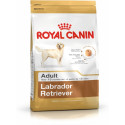 Sööt Royal Canin Labrador Retriever Adult 12 kg Täiskasvanutele Täiskasvanu