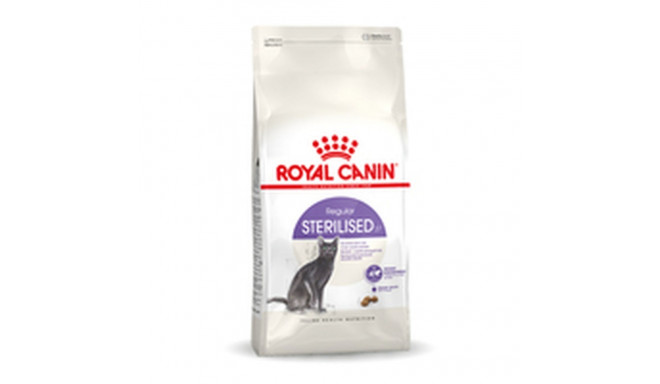 Kaķu barība Royal Canin Sterilised 37 Pieaugušais 10 kg