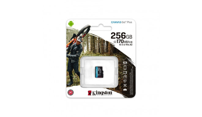 Mikro SD Kaart Kingston Canvas Go! Plus 256 GB