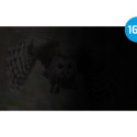 Natec privaatsusfilter Owl 14" 16:9