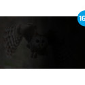 Natec privaatsusfilter Owl 23.8" 16:9