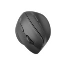 Natec wireless mouse Crake 2, black (NMY-2048)