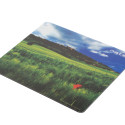 MOUSE PAD NATEC PHOTO ITALY 220X180MM 10-PACK