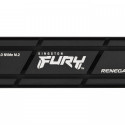 SSD drive FURY Renegade 1TB PCI-e 4.0 NVMe 7300/6000