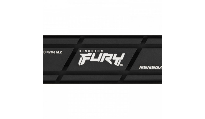 SSD drive FURY Renegade 1TB PCI-e 4.0 NVMe 7300/6000