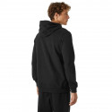 Helly Hansen Logo Hoodie M 33977-990 (M)