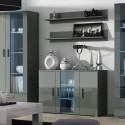 Cama display cabinet SOHO S6 2D2S grey/grey gloss