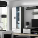 Cama display cabinet SOHO S6 2D2S grey/white gloss