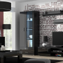 Cama display cabinet SOHO S6 2D2S black/black gloss