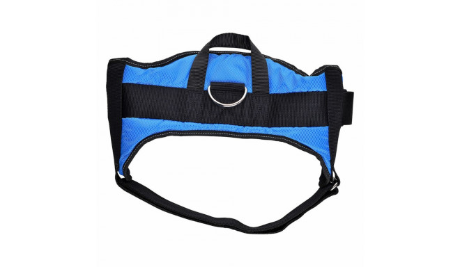 Dog Harness Hearts & Homies Blue Size S