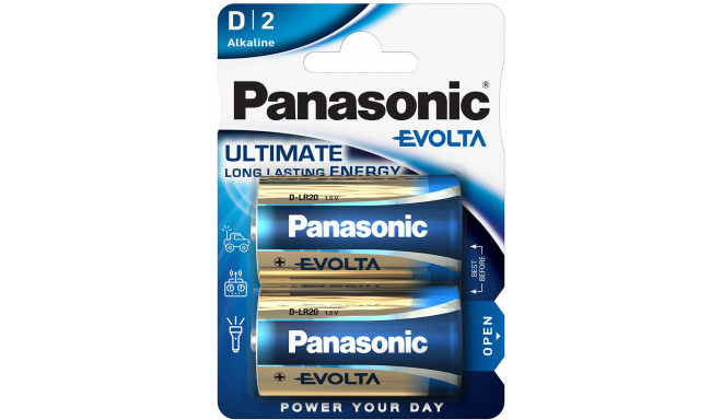 Panasonic Evolta battery LR20EGE/2B