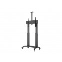 M MOTORIZED PUBLIC FLOORSTAND DUAL PILLAR 180 HD