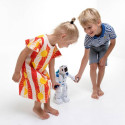 Gerardo's Toys leedukeelne puldiga juhitav robot Robert