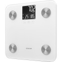 Personal fitness scale Sencor SBS6025WH