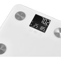 Personal fitness scale Sencor SBS6025WH