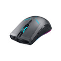 Thunderobot Dual-Modes Gaming mouse ML703 (black)