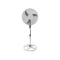 Pedestal fan EHF002WE