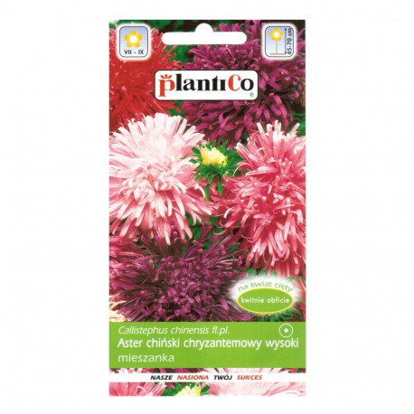 PLATINET SEEDS CHRYSANTHEM ASTER CALLISTEPHUS CHINENSIS 1 G