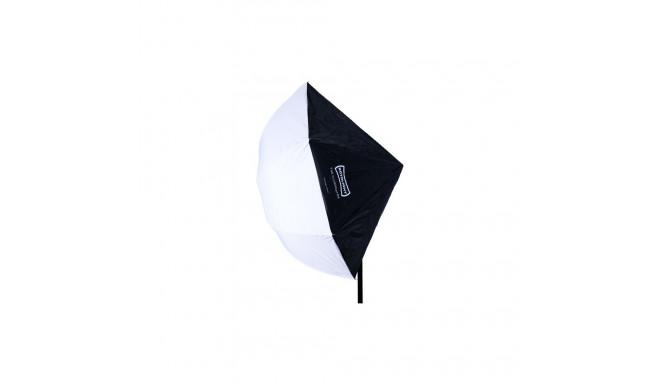 ROTOLIGHT ILLUMINATOR WITH UMBRELLA MOUNT