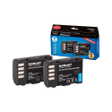 HÄHNEL BATTERY PANASONIC HL-PLF19 TWIN PACK