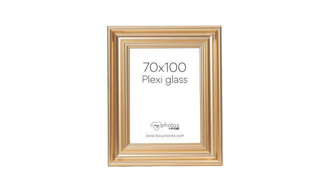 Focus pildiraam Charleston 70x100 pleksiklaas, kuldne