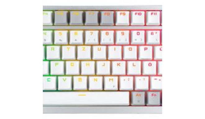 ASUS ROG Azoth White keyboard Gaming USB + RF Wireless + Bluetooth QWERTZ German