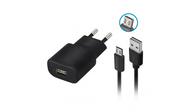 Forever TC-01 charger 1x USB 2A black + microUSB cable