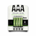 Laetavad Akud TM Electron R03 700 mAh Ni-Mh