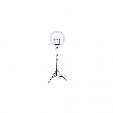 LED Ring Lamp 45cm With Desktop Tripod Mount Up To 2.1m