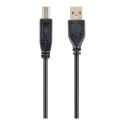 GEMBIRD CCP-USB2-AMBM-10 Gembird USB 2.0 A- B 3m cable black color