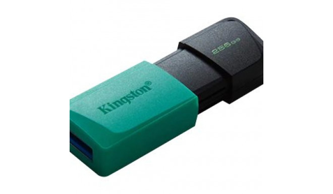 KINGSTON 256GB DataTraveler Exodia M mälupulk